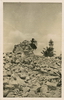 1938 - Home demolishing in Jenin